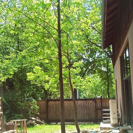 Scheunenloft Mit Wildgarten *